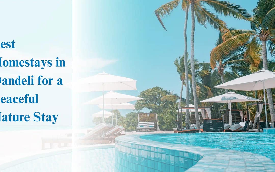 Best Homestays in Dandeli for a Peaceful Nature Stay