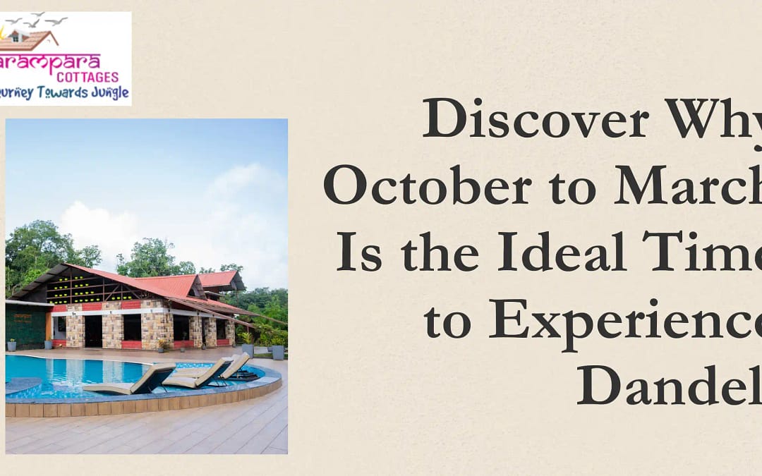 Discover Why October to March Is the Ideal Time to Experience Dandeli